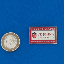 Custom Hard Enamel Lapel Pins – Smooth Premium Finish (MOQ 50)