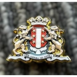 Custom 3D Relief Pin with Innovative HD UV Printing Technology