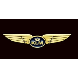 Op maat Gemaakt Piloten Wing Badge – Antiek Goud